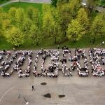 Во флешмобе «Спасибо» приняли участие более 1000 человек