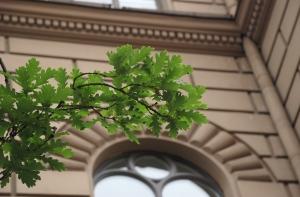 Сейм будет голосовать по кандидатурам министров