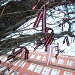 Сейм не захотел поддержать культуру нацменьшинств