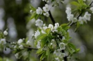 В выходные в Латвии потеплеет до +24