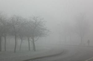 Синоптики: в ближайшие часы туман сохранится