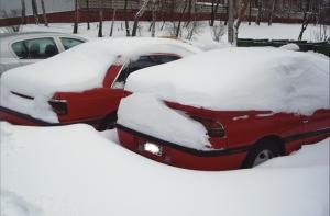 Метеоролог: Восточную Европу снова ждет суровая зима