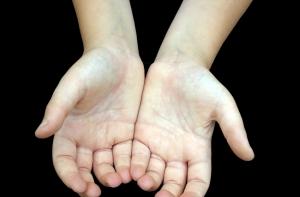 На ремонт Меллужской эстрады никто не жертвует