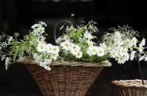 Астролог обещает активное Лиго