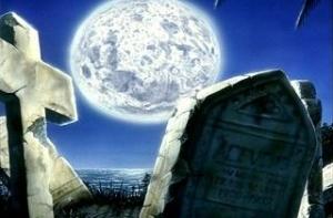 В Новой Зеландии поймали «зловещего едока»