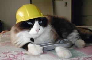 Латвийские строители не едут в Сочи