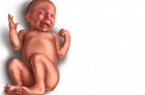 Детей в ЮАР начали называть в честь футбольных команд