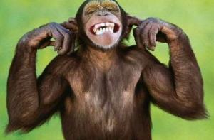 Обезьяна предсказала поражение сборной Германии от Ганы