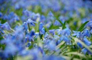 Синоптики обещают больше солнца