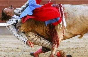 На бычьих бегах в Памплоне пострадали 4 человека