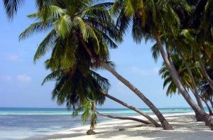 В Латвию пришло калифорнийское лето