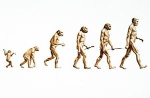 Ученые нашли общего предка человека и мартышки