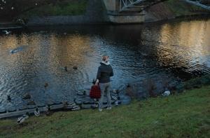 Исследование: 60% рижан сидят на траве