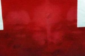 В США на флаге проявился лик Иисуса Христа