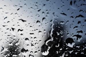 Синоптики предупреждают о сильном дожде и ветре