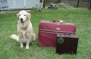 Начался конкурс «К отплытию - готов!»