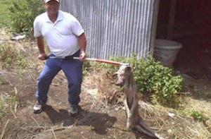 «Чупакабра» пыталась напасть на жителя Техаса (ВИДЕО)