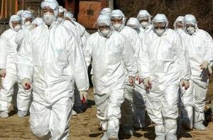 ВОЗ объявила о завершении пандемии свиного гриппа