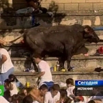 Разъяренный бык вырвался с арены и врезался в толпу (ВИДЕО)