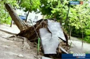 Ураган оставил без света 100 тыс. россиян
