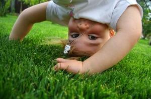 Дума ликвидирует очереди в детсадах Риги за 3 года