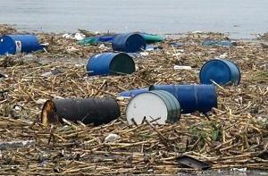 Китайские химикаты доплыли до России