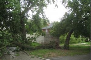 Последствия урагана: 730 семей все еще без электричества