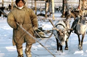 Чукча обиделся на Кристовскиса, потребовав извинений