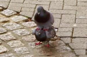 За два года кризиса латвийские работодатели обнаглели