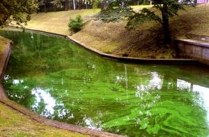 В центре Риги появилась опасная каша