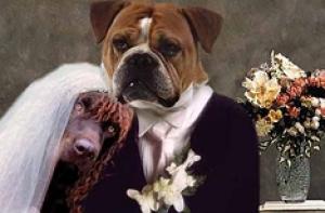 На Украине открылся ЗАГС для животных