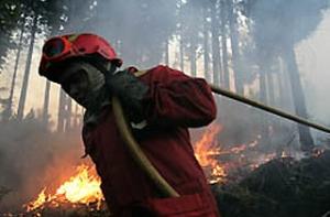 У латвийцев попросили денег для России