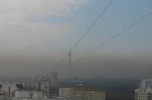Густой едкий дым опустился на Москву