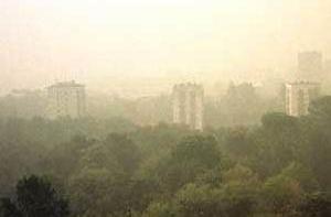 Синоптики пообещали москвичам выходные без смога