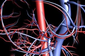 Сосуды будут расти в организме сами