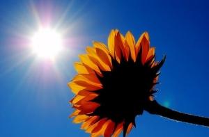 Синоптики обещают жаркие выходные