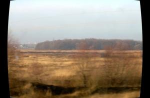 Жители Латвии любят посмотреть ТВ и отдохнуть на природе