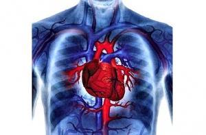 Минздрав намерен облегчить жизнь «сердечникам»