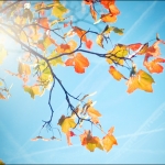 Сентябрь будет по-настоящему осенним