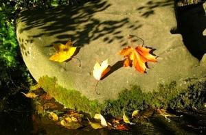 На новой неделе в Латвии будет солнечно