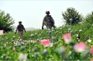 Британских солдат винят в контрабанде героина из Афганистана