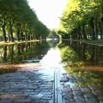 Уже пять улиц перекрыто из-за разлива речки парке Аркадия