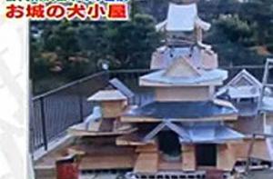 Японец построил замок для своей собаки