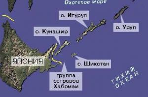 В Японии открыли охоту на «мертвые души»