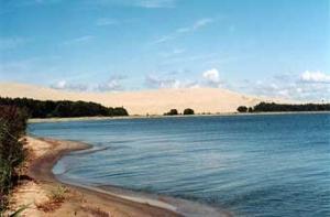 Экологи обеспокоены судьбой заповедника «Куршская Коса»