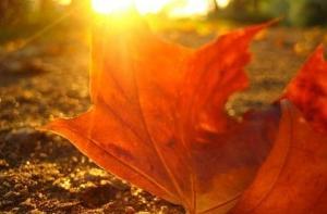 Бабье лето подходит к концу