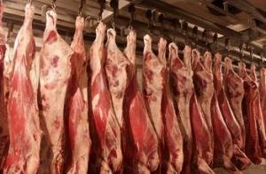 СГД заработала на мясной контрабанде полмиллиона
