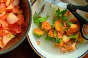 Съедобные розы вырастили в Эквадоре