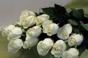 Вице-президент airBaltic предложил журналистке продавать цветы