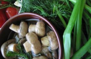 В латвийских лесах стало больше грибов